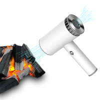 Sèche-cheveux sans fil léger rechargeable par USB, nouveau design 2024, avec buse ionique blanche 8V et concentrateur, idéal pour l'hôtellerie