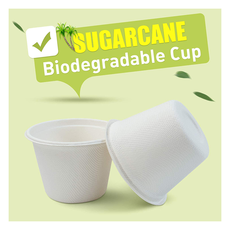 Compostable Paper Pulp Cup Bowl Plate Lunch Box Set Biodegradable Sugarcane Food Container Disposable Bagasse Tableware