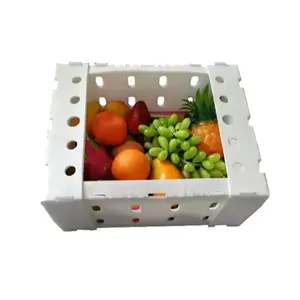Kotak buah sayuran kemasan berongga plastik PP ramah lingkungan untuk sayuran buah Asparagus