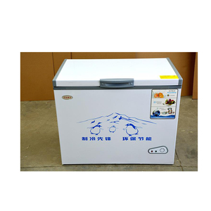 Congélateurs coffres à porte unique et ouverture par le haut de 200L, 250L, 300L OEM en promotion - Product Image 6