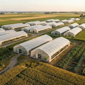 <span class=keywords><strong>Serre</strong></span> agricole économique à simple travée en film plastique PE pour fraises et tomates, grande protection - Product Image 5