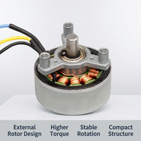 Moteur BLDC à rotor externe BL3825-W, contrôle de vitesse PWM, moteur CC sans balais pour pistolet de massage, appareils cosmétiques, purificateur d'air, ventilateur