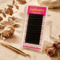 Extensions de cils en cachemire vegan en gros, marque privée, 0,03, plateau, noir mat, cils individuels russes sibériens, volume, LC BC