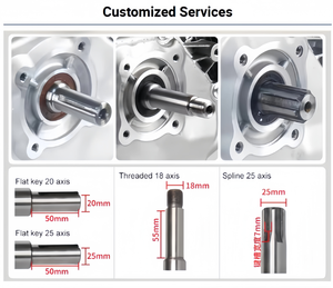 Motor marino de gasolina Powerac de 15 HP y 418 cc, refrigerado por aire, EURO 5, 4 tiempos, arranque eléctrico, certificado CE, nuevo para embarcaciones, eje largo - Product Image 4