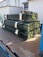 Usine de source de 5 6 7 8 9 10 ft USA T Post/Studded Metal T Post Personnalisé 1.25lb par pied T Post