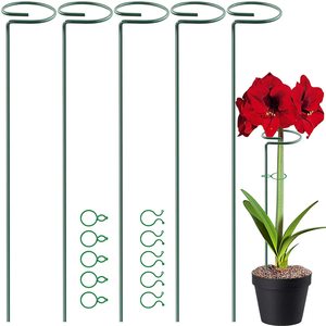 Support de plante à tige unique Supports d'anneaux en fil métallique Support en métal vert pour tomates orchidées <span class=keywords><strong>Amaryllis</strong></span> Lily Rose utilisées avec de l'herbe - Product Image 1