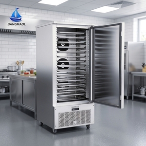 Congelador Vertical Comercial de Alta Gama con Puerta de Vidrio y Estantes Ajustables para Almacenamiento de Alimentos en Cocinas Centrales - Product Image 1