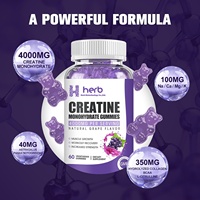 Gummies de renforcement musculaire en marque propre, nutrition sportive, énergie post-entraînement, supplément de créatine monohydratée, 60 unités pour adultes