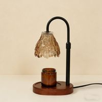 Lampe chauffe-bougie LANJO pour l'Australie, diffuseur d'arômes sans flamme, lampe chauffe-cire parfumée, diffuseur d'arômes de luxe, chauffe-bougie à brancher