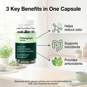 Kapsul Ajaib Penghilang Bau Badan Grosir Mendukung Kapsul Ajaib Penghilang Bau Badan Kustom Kapsul Klorofil Daun Peterseli Organik - Product Image 3