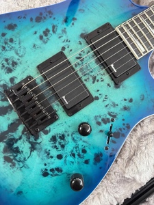 <span class=keywords><strong>Guitarra</strong></span> Eléctrica de Alta Calidad IBane Z GRGR221PA-AQB de 6 Cuerdas, Cuerpo Sólido con Fondo/Lados de Arce, Diapasón de Madera Sappanwood, Pastillas Dobles - Product Image 4