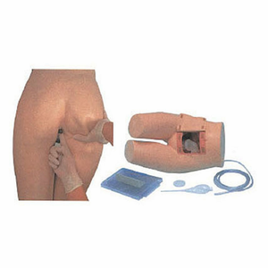 Aides pédagogiques médicales Modèle de formation avancée à la défécation et à la défécation Modèle de lavement de défécation Modèle de soins <span class=keywords><strong>infirmiers</strong></span> médicaux - Product Image 2