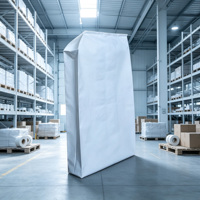 Sacs à valve inclinés en PE résistants à l'humidité, imprimés en héliogravure, taille personnalisée, résistants aux déchirures, anti-fuite, pour produits chimiques