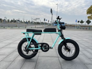 Bicicleta Eléctrica <span class=keywords><strong>Moto</strong></span>-style Seat <span class=keywords><strong>Super</strong></span> Power <span class=keywords><strong>73</strong></span> con Neumáticos Anchos, E-bike, Bicicleta Electrónica - Product Image 5