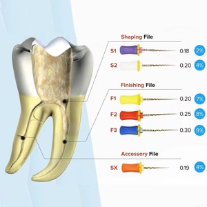 Lime rotative manuelle en NiTi pour endodontie, activation thermique, certifiée CE, modèle PT Gold File SX-F3, 21mm/25mm/31mm, JiNGC - Product Image 6