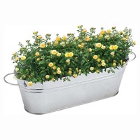 Pots de fleurs en métal avec poignée Jardinière en fer classique en forme de seau Seaux ovales en métal pour décoration de maison de ferme rustique