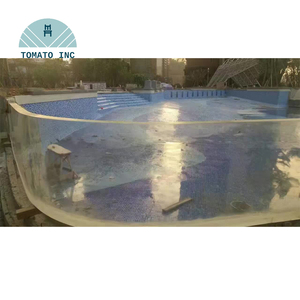 Piscina Acrílica Moderna y Ecológica TOMATO con Paredes Transparentes, Grosor Personalizado para Uso Residencial y Comercial - Product Image 3
