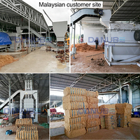 Déchiqueteuse automatique de coques de noix de coco à moteur électrique/diesel, machine à cocopeat, boîte de vitesses, production de fibre de coco haute capacité