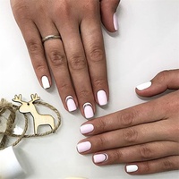 2025 Presse acrylique à bas prix sur les ongles Faux ongles de Noël Ongles artificiels réutilisables