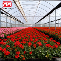 Film plastique PE EVA pour tunnel agricole à diffusion de lumière, pour fleurs, semis, plantes, légumes, baies