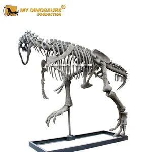 My Dino горячие продажи ленты T-rex в парк развлечений окаменелостей скелета для открытая игровая площадка статуя