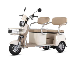 <span class=keywords><strong>Tricycle</strong></span> <span class=keywords><strong>électrique</strong></span> pliable 600W sans balais pour adultes, à 3 roues, à carrosserie ouverte, pour passagers handicapés, livraison rapide depuis la Chine - Product Image 2