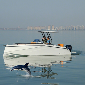 Le <span class=keywords><strong>moteur</strong></span> hors-bord de yacht de sport en fibre de verre de 23 pieds peut être intégré à 40HQ pour les loisirs avec lumière à vendre - Product Image 1