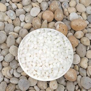 FD Coconut Organic Sweet 5mm Pieces 0 Sugar 5A Bulk Pack Parrot Food Fruit Tea Snack/Bakery 1kg - Product Image 3