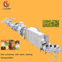 Volautomatische Industriële Verse Groenten En Fruit Gedroogd Fruit Mango Rozijn Wassen Drogen Machine Fruit Lijn