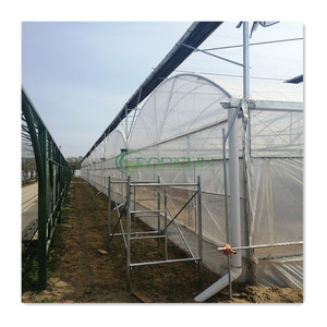 Invernaderos de Agricultura de <span class=keywords><strong>casa</strong></span> verde Multi Span Tropical de alta calidad Invernadero de vidrio victoriano industrial con <span class=keywords><strong>precio</strong></span> bajo - Product Image 6