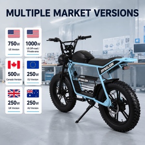 Bicicleta Eléctrica de Neumáticos Anchos con Múltiples Niveles de Potencia, Estilo Retro Moped, para Distribuidores, Importadores y Proyectos de Marcas OEM - Product Image 1