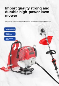 Cortacésped industrial de mochila de 4 tiempos, desbrozadora pequeña para uso doméstico, recortadora de césped, cosechadora agrícola, cortadora de maleza, a gasolina, DIY, ODM - Product Image 6