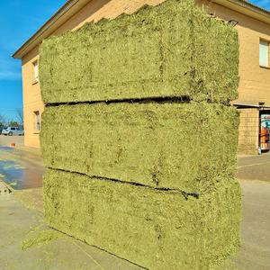 grade alfafa hay for animal feeding stuffalfalfa/alfalfahay