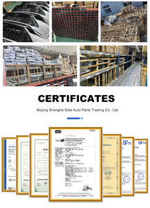 Sealion-Parachoques delantero, parte inferior de la parte delantera, de la marca, de la marca del año 2000 - Product Image 4