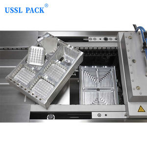 Équipement d'emballage sous vide linéaire pour plateau de snacks marinés et aliments cuits DLZ-320T, machine de thermoformage pour la production de produits délicatessen - Product Image 5