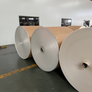Rouleau de papier brillant de qualité alimentaire en pâte de bois vierge, laminé PE double face, rouleau jumbo, largeur personnalisée pour la matière première des gobelets en papier - Product Image 3