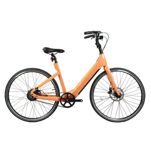 2023荷兰700C盖茨Blet驱动碳纤维轻质城市女性电动自行车elektrische fiets电动自行车自行车