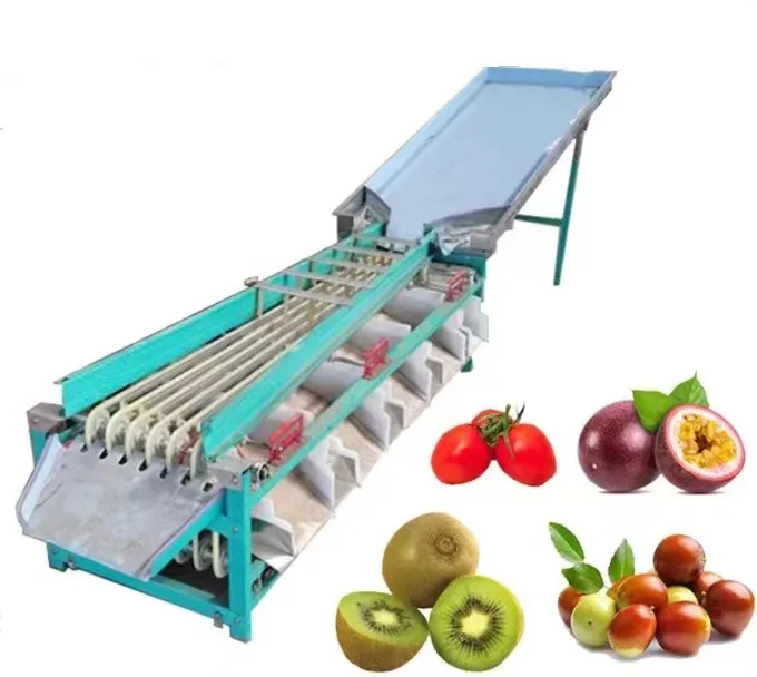 Машина для сортировки фруктов и овощей/машина для сортировки лимонного апельсина/машина для сортировки картофельного лука и помидоров