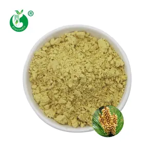 批发价格1kg松花粉散装99% 细胞壁破裂松花粉