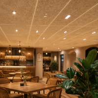 Panneau acoustique Qinsound en laine de bois naturelle, barre en T, ignifuge, à base de ciment, pour le contrôle du bruit dans les cafés et la décoration