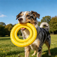 Anneau à mâcher en mousse EVA pour animaux de compagnie, jouet sûr et non toxique pour chiot et chien adulte, jeu interactif intérieur/extérieur