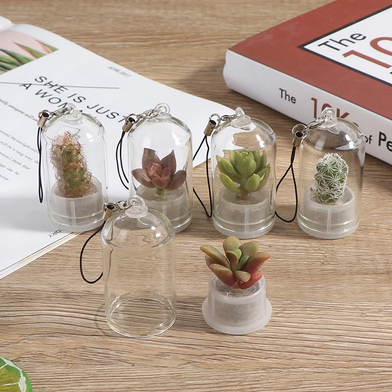 Cactus Terrarium Keychains Unique and Cute Accessories