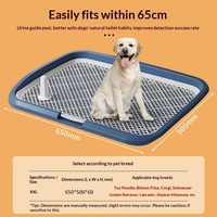 Petora Plateau d'apprentissage de la propreté pour chien avec couvercle rabattable, surface en maille pour garder les pattes au sec et pilier de guidage amovible