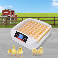 Vente d'usine WONEGG, mini incubateur d'œufs de poulet, de caille et de perroquet, incubateur automatique pour 50 œufs