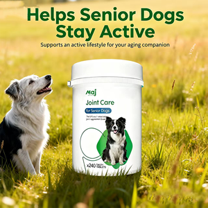 Suplemento Masticable para la Salud de Cadera y Articulaciones de Mascotas, con Glucosamina de Mejillón de Labio Verde, OEM - Product Image 5