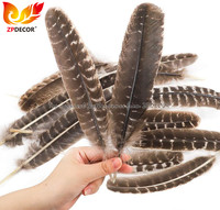 ZPDECOR Usine En Gros Stock Naturel Dinde Sauvage Rondes Aile Secondaire Plume Plumes pour Costumes De Carnaval