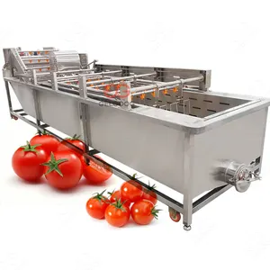 Automatic Cherry Tomato Washing Processing Machine Line