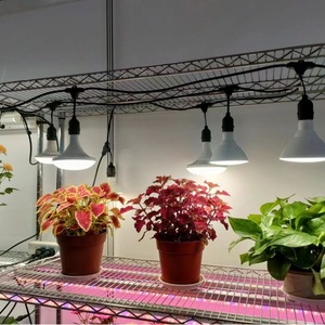 Luces LED de cadena E27 para exteriores, impermeables, para decoración navideña, 50V-440V, con 80 Ra y 50000 horas de duración. - Product Image 1
