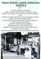 Machine de marquage de bouchons de bouteilles à double laser UV entièrement automatique pour codage intérieur/extérieur de codes DataMatrix et QR, pour la traçabilité Russe Chestny ZNAK