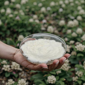 บรรจุภัณฑ์ถุงทดสอบ cyanotis arachnoidea สารสกัด90% ผง <span class=keywords><strong>ecdysterone</strong></span> เบต้าอาหารเสริมวิตามินสมุนไพร - Product Image 4